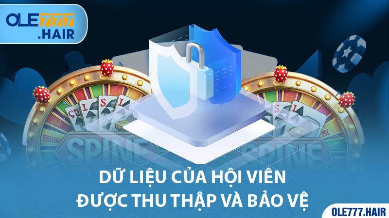 Dữ liệu của hội viên được thu thập và bảo vệ theo chính sách bảo mật